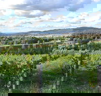 Sassy Wines - SA Accommodation
