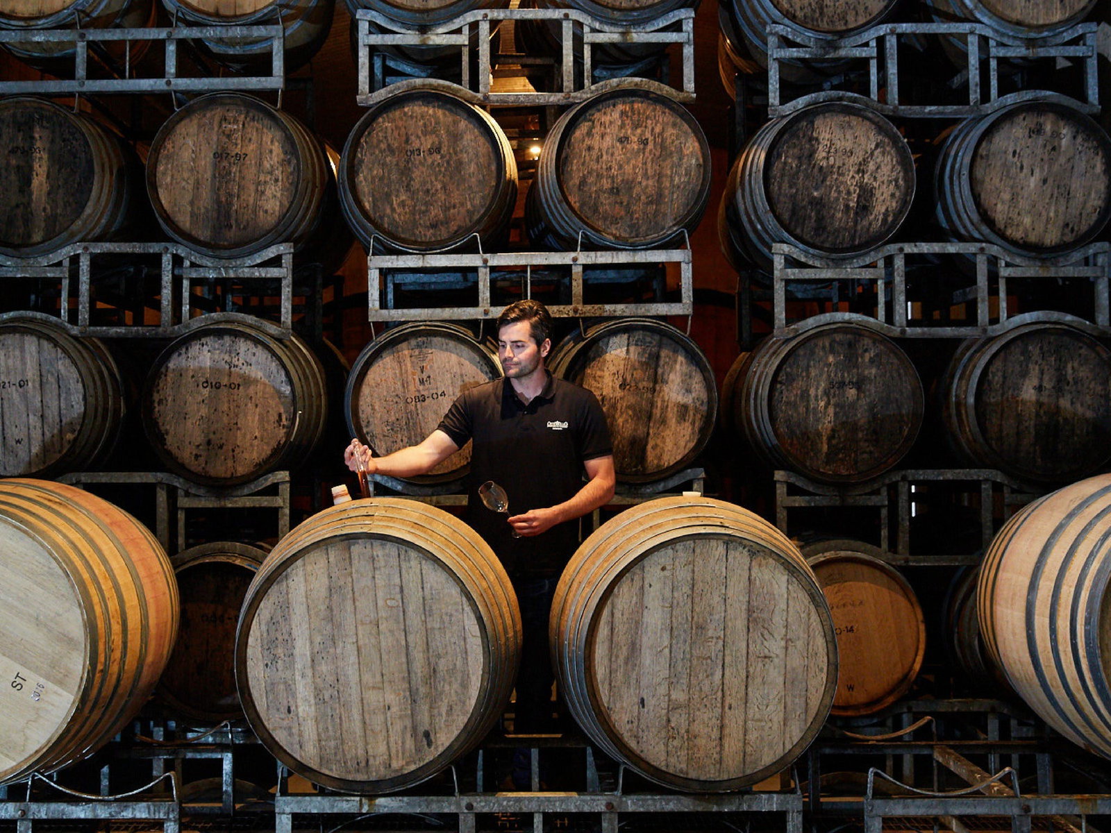 Pipers Brook TAS SA Accommodation