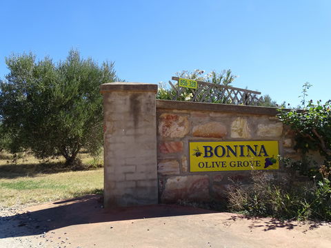 Bonina Olive Grove - SA Accommodation 1