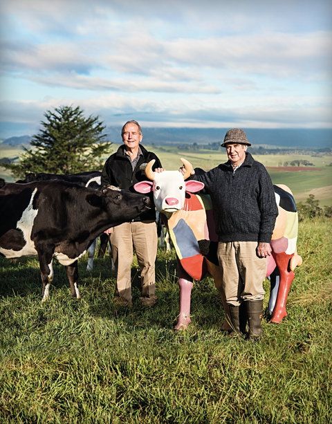 Ashgrove Farm Cheese - SA Accommodation 1