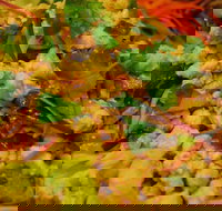 Caroline Thai Restaurant - SA Accommodation