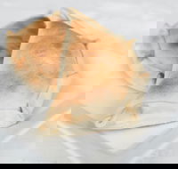 Latin Foods and Wines - SA Accommodation