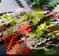 The Berry Farm Cottage Caf - SA Accommodation