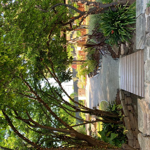 Velvet & Willow - SA Accommodation 0