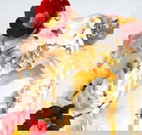 Bess Bar - SA Accommodation