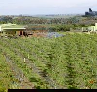 Dindima Wines - SA Accommodation