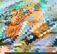 IKA8 - SA Accommodation