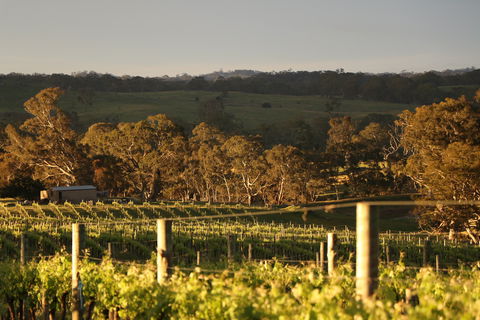 Max & Me Wine Tasting @ Eden Valley Hotel - SA Accommodation 1