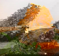 La Marina - SA Accommodation