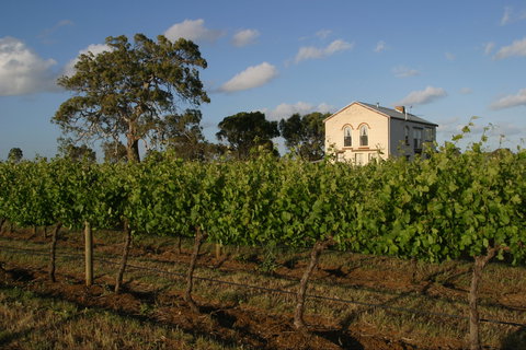 Highbank Vineyards - SA Accommodation 0