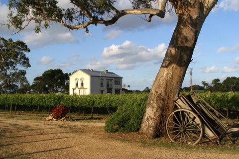 Highbank Vineyards - SA Accommodation 2