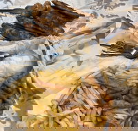 Miami Fish and Chip Shack - SA Accommodation