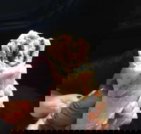 Radwan Bakery - SA Accommodation