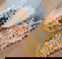 The Greekery - SA Accommodation