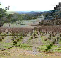 Habitat Vineyard - SA Accommodation