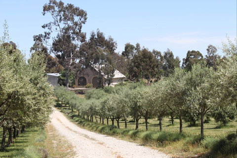 L'Oliveraie Olive Grove - SA Accommodation 0