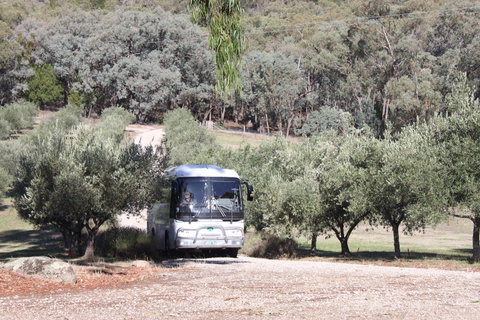 L'Oliveraie Olive Grove - SA Accommodation 2