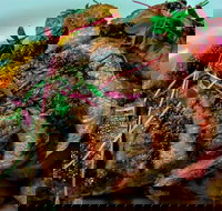 Medley Cafe  Restaurant - SA Accommodation