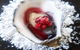 Oyster Bar - Elizabeth Quay - thumb 2