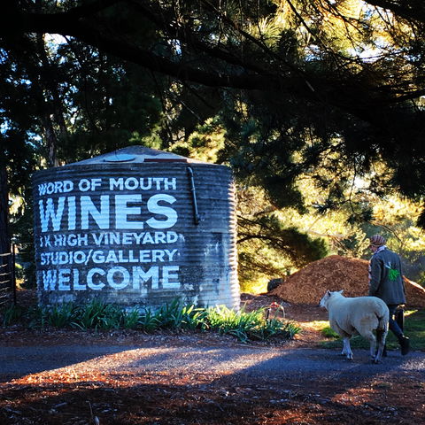 Word Of Mouth Wines - SA Accommodation 1
