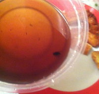 Labrador Chinese Restaurant - SA Accommodation