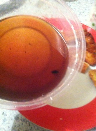 Labrador Chinese Restaurant - SA Accommodation 0