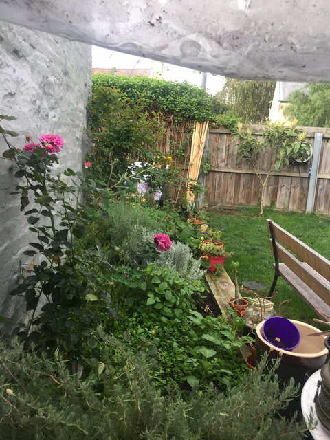 Czegs' Cafe - SA Accommodation 1