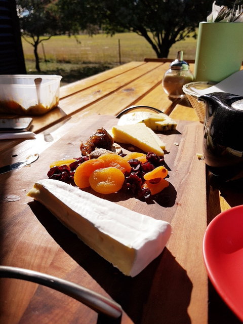 Wicked Cheese Factory - SA Accommodation 7