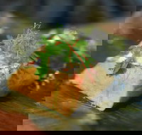 Itsara - SA Accommodation