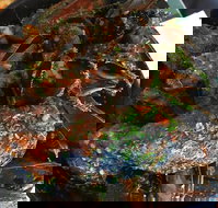 Ciao Italia - SA Accommodation