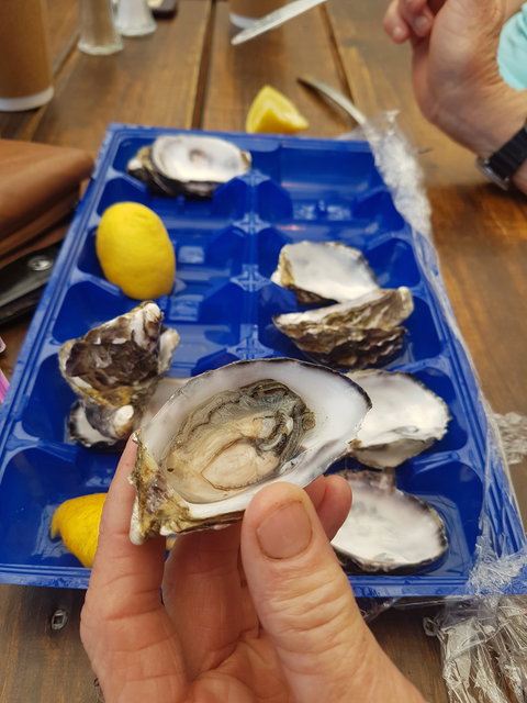 Beachcomber - SA Accommodation 6