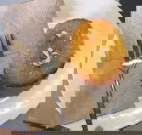 New Leaf Cafe Murwillumbah - SA Accommodation