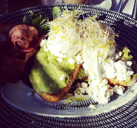 Essendon North VIC SA Accommodation