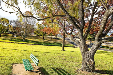 Comfort Inn City Centre Armidale - SA Accommodation 17