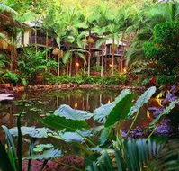 Daintree Eco Lodge  Spa - SA Accommodation