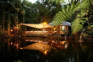 Daintree Eco Lodge & Spa - SA Accommodation 2