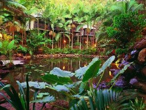 Daintree Eco Lodge & Spa - SA Accommodation 0