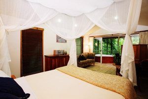 Daintree Eco Lodge & Spa - SA Accommodation 1