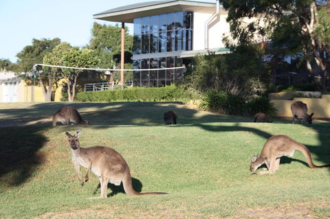 BreakFree Wirrina Cove - SA Accommodation 28