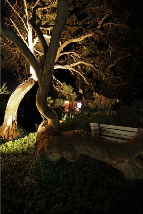 Cape Jervis Holiday Units - SA Accommodation 14