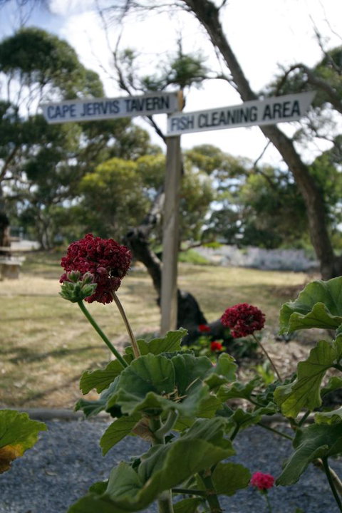 Cape Jervis Holiday Units - SA Accommodation 13