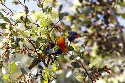 Cape Jervis Holiday Units - SA Accommodation 11