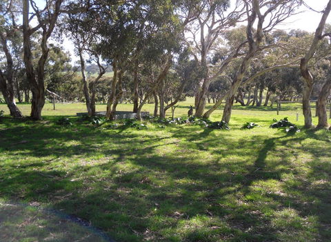 Wenton Farm Holiday Cottages - SA Accommodation 1