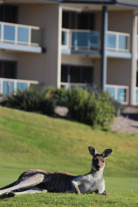 Lady Bay Hotel - SA Accommodation 16