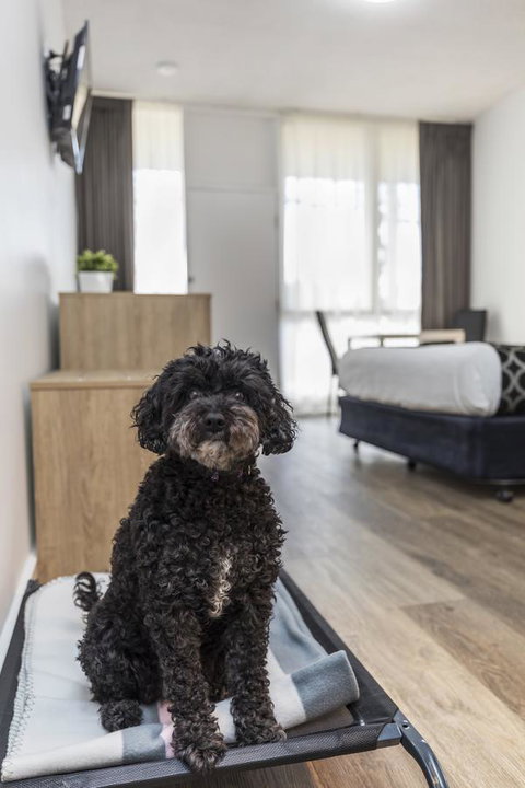 Adelaide Road Motor Lodge - SA Accommodation 2