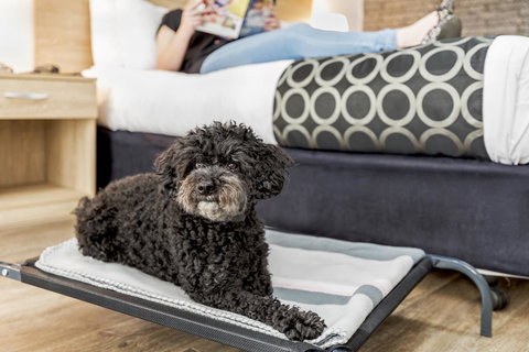 Adelaide Road Motor Lodge - SA Accommodation 5