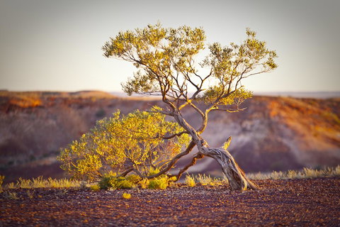 The Lookout Cave Underground Motel - SA Accommodation 22