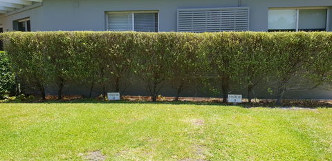 2 Austinmer Studio - SA Accommodation 12