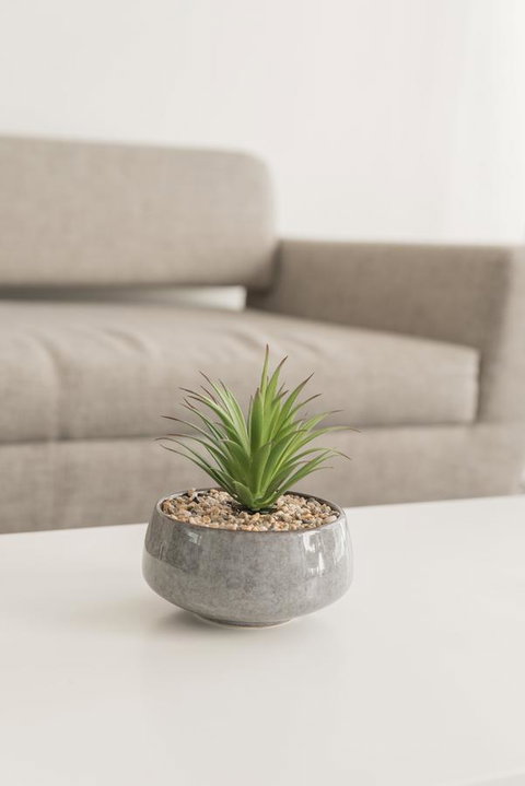 Ther-Rich Elegant 1BR Apartment In Walkerville - SA Accommodation 17