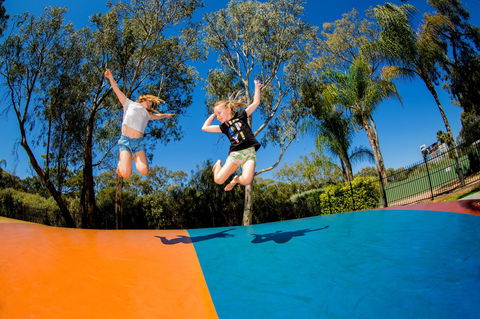 BIG4 Renmark Riverfront Holiday Park - SA Accommodation 37